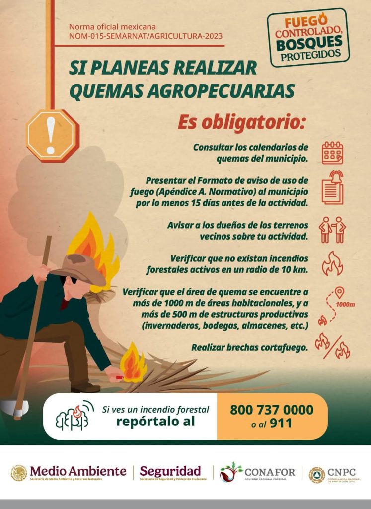 Descarga directamente 